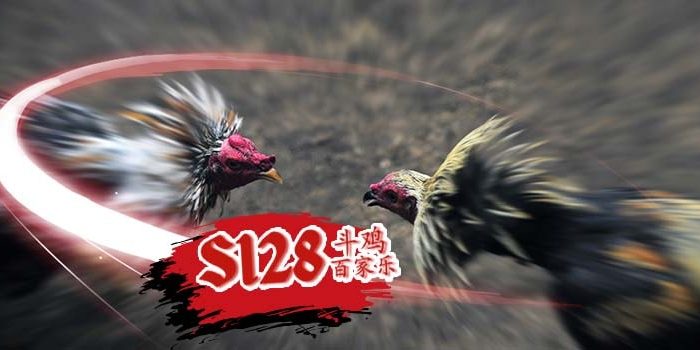 Panduan Mendapatkan Akun Judi Sabung Ayam Online