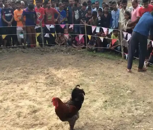 Review Terbaru S128S 2025